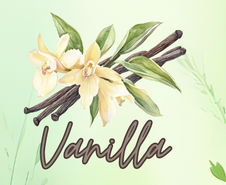 Vanilla Candle Glass Jar 10 oz